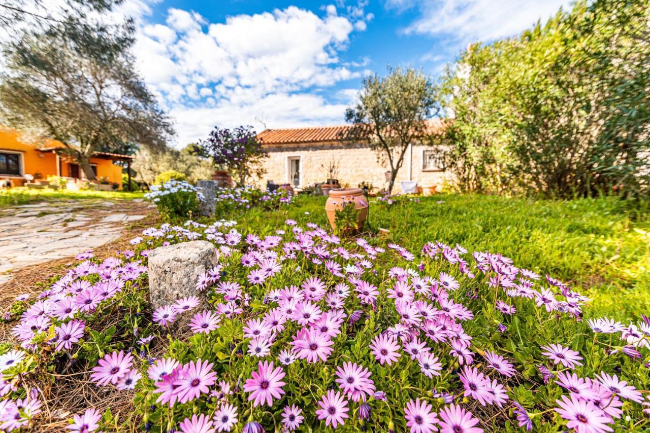Casa Lilliosa Villa Campavaglio Exterior photo